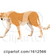 Clipart Of A Walking Cheetah Royalty Free Vector Illustration
