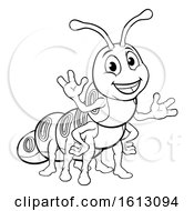 Caterpillar Animal Cartoon Character