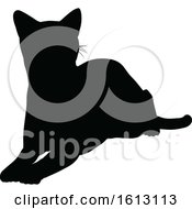Poster, Art Print Of Cat Silhouette