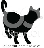 Poster, Art Print Of Cat Silhouette
