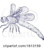 Dragonfly Flying Drawing Side