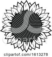 Clipart Of A Black And White Sunflower Head Royalty Free Vector Illustration by Vector Tradition SM