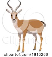 Poster, Art Print Of Gazelle