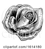 Poster, Art Print Of Rose Flower Woodcut Etching Style