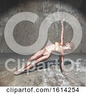 3D Female Figure With Muscle Map In Yoga Position In Grunge Room