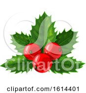 Clipart Of A Christmas Holly Design Royalty Free Vector Illustration