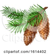 Clipart Of A Christmas Tree Branch Royalty Free Vector Illustration