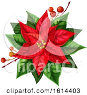 Poster, Art Print Of Red Poinsettia