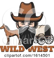 Western Outlaw