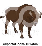 Poster, Art Print Of Bison