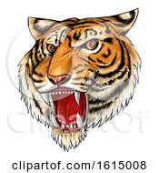 Poster, Art Print Of Roaring Angry Tiger Mascot Face Hand Drawn