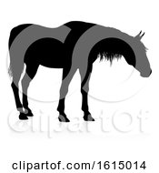 Horse Animal Silhouette On A White Background