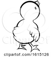 Clipart Of A Black And White Rear View Of A Cute Chick Royalty Free Vector Illustration by Lal Perera