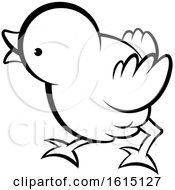 Clipart Of A Black And White Cute Curious Chick Royalty Free Vector Illustration