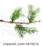 Clipart Of A Spruce Tree Branch Royalty Free Vector Illustration