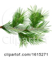 Clipart Of A Fir Tree Branch Royalty Free Vector Illustration by dero