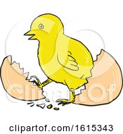 Poster, Art Print Of Sketched Chick Hatching Out Of An Egg