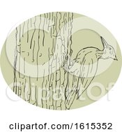 Clipart Of A Sketched Woodpecker On Tree Trunk Royalty Free Vector Illustration