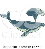 Scratchboard Style Spouting Humpback Whale