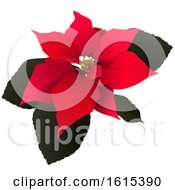 Clipart Of A Christmas Poinsettia Royalty Free Vector Illustration