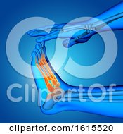 3D Male Medical Figure With Close Up Of Foot With Bones Highlighted