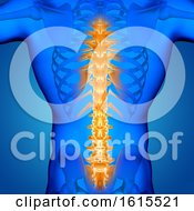 Poster, Art Print Of 3d Male Medical Figure With Spine Highlighted