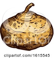 Clipart Of A Sketched Jicama Royalty Free Vector Illustration