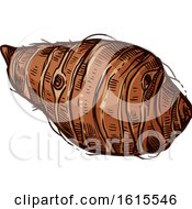 Clipart Of A Sketched Taro Root Royalty Free Vector Illustration