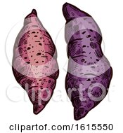 Poster, Art Print Of Sketched Sweet Potatoes