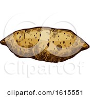 Clipart Of A Sketched Yam Royalty Free Vector Illustration