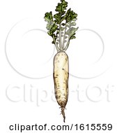 Clipart Of A Sketched Radish Royalty Free Vector Illustration by Vector Tradition SM