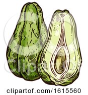 Clipart Of A Sketched Chayote Royalty Free Vector Illustration