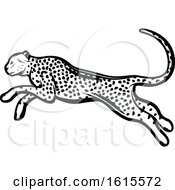 Poster, Art Print Of Black And White Cheetah