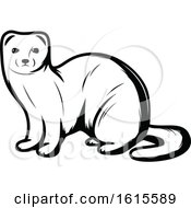 Poster, Art Print Of Black And White Weasel