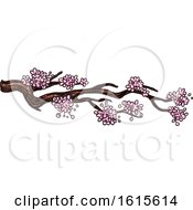 Poster, Art Print Of Sketched Branch With Blossoms