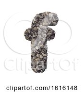 Gravel Letter F - Small 3d Crushed Rock Font - Nature Environme On A White Background