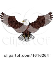 Clipart Of A Sketched Flying Bald Eagle Royalty Free Vector Illustration by Vector Tradition SM