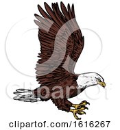Clipart Of A Sketched Flying Bald Eagle Royalty Free Vector Illustration by Vector Tradition SM