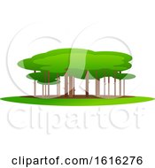 Clipart Of A Green Tree Design Royalty Free Vector Illustration