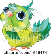 Cute Green Parrot Looking Back