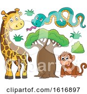 Poster, Art Print Of Monkey Snake And Giraffe
