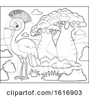 Clipart Of A Black And White Grey Crowned Crane Royalty Free Vector Illustration