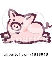 Poster, Art Print Of Running Pig