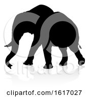 Poster, Art Print Of Elephant Safari Animal Silhouette On A White Background