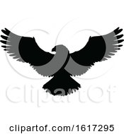 Silhouetted Flying Eagle