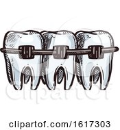 Teeth With Braces by Vector Tradition SM