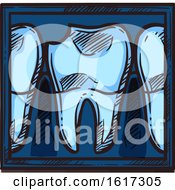 Poster, Art Print Of Tooth Xray