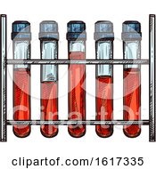 Test Tubes Of Blood by Vector Tradition SM