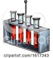 Poster, Art Print Of Test Tubes Of Blood