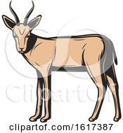 Poster, Art Print Of Gazelle
